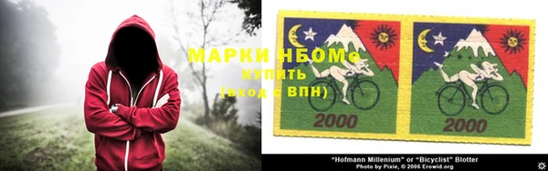 ПСИЛОЦИБИНОВЫЕ ГРИБЫ Волосово