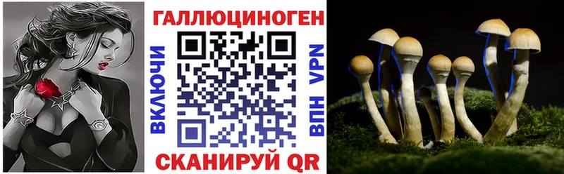 Псилоцибиновые грибы Magic Shrooms  blacksprut рабочий сайт  Сунжа  купить наркотики цена 